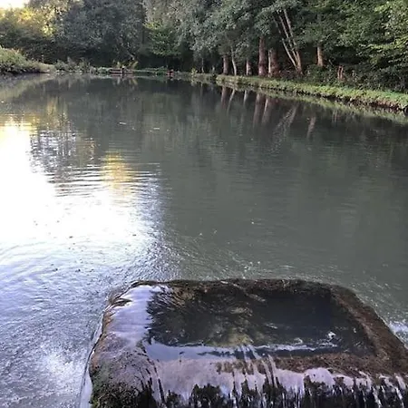 Maison En Pierre, Chaleureuse, Avec Etang 別荘 *