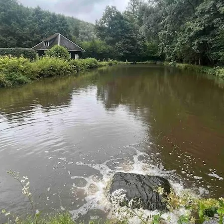 Maison En Pierre, Chaleureuse, Avec Etang 別荘 *
